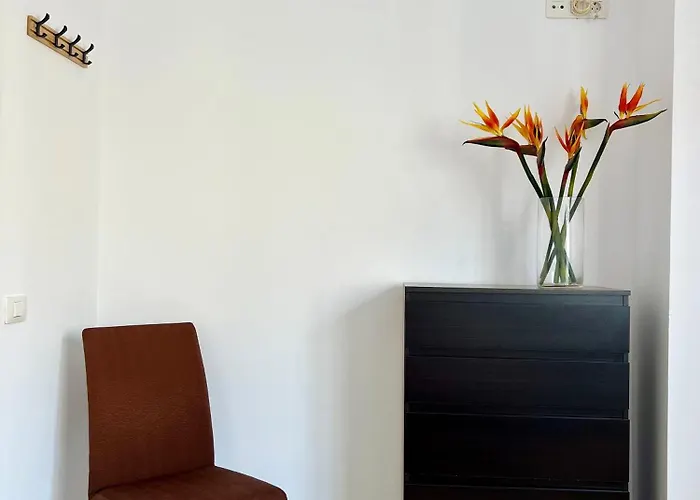 Roque's House Apartamento *