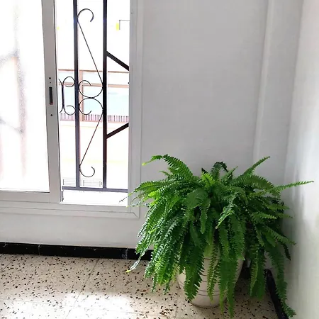 Roque's House Тельде