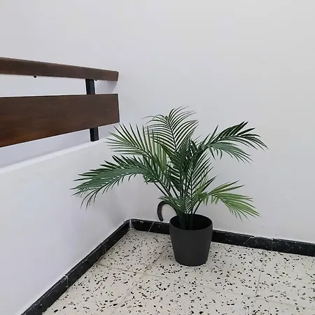 Roque's House * Тельде