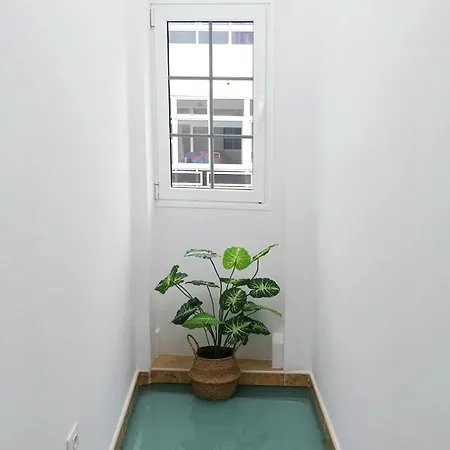 Apartment Roque's House *