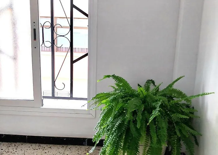 Roque's House Тельде