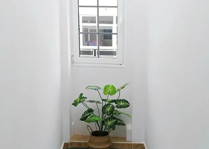 Апартаменты Roque's House *